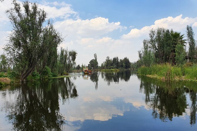 Xochimilco Barco Fiesta Tentacion 18+ with Open Bar and Tacos - The party atmosphere has real limits