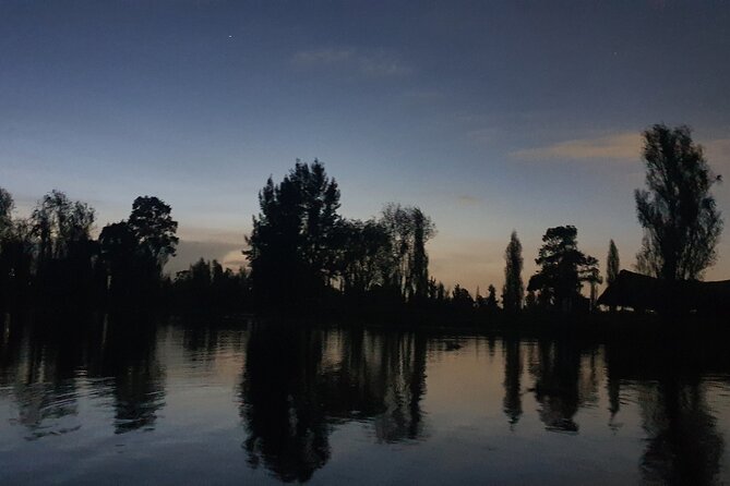 Xochimilco Barco Fiesta Tentacion 18+ with Open Bar and Tacos - The open bar is the strongest part of the value