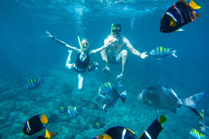 Yelapa Waterfall, BBQ at Exclusive Majahuitas Beach & Open bar - Majahuitas Beach: the best setting for lunch