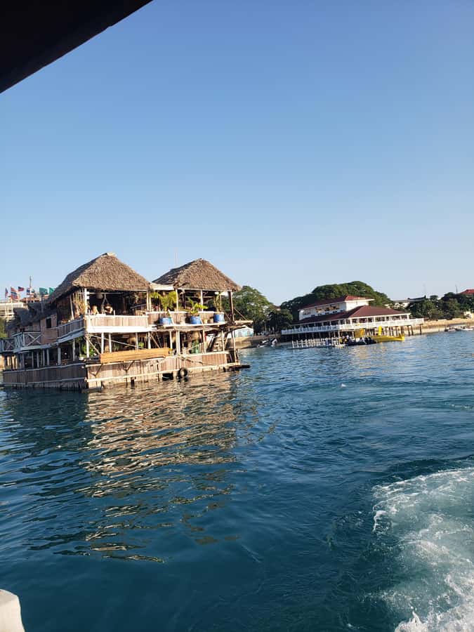 Zanzibar: Sunset Dhow Cruise in Stone town - What the Evening Feels Like